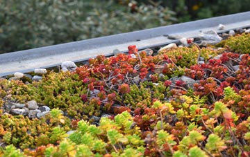 the cost of Theddlethorpe All Saints green roof installation