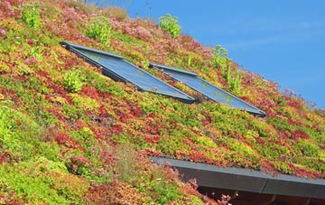 Theddlethorpe All Saints living roof systems